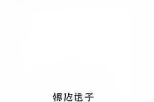 直播回放的音轨分析波形图封面
