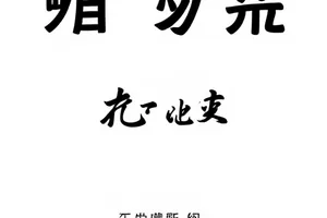 众声合集三十种说法语录排版封面